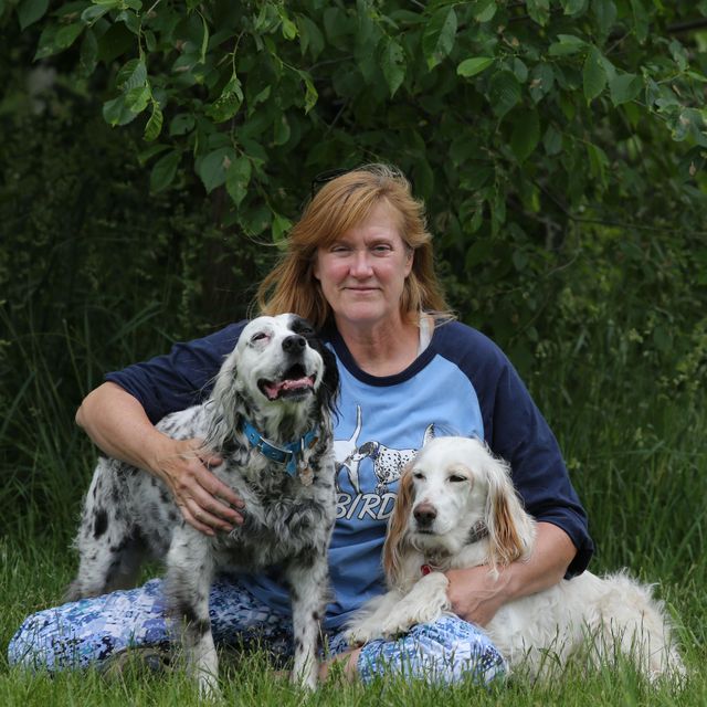 Lucky Pets Petsitting