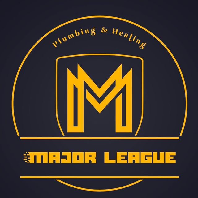 Major League Services LLC