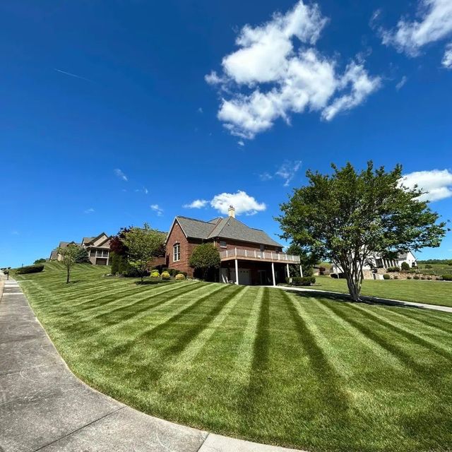 MARIO•S LAWN AND LANDSCAPING