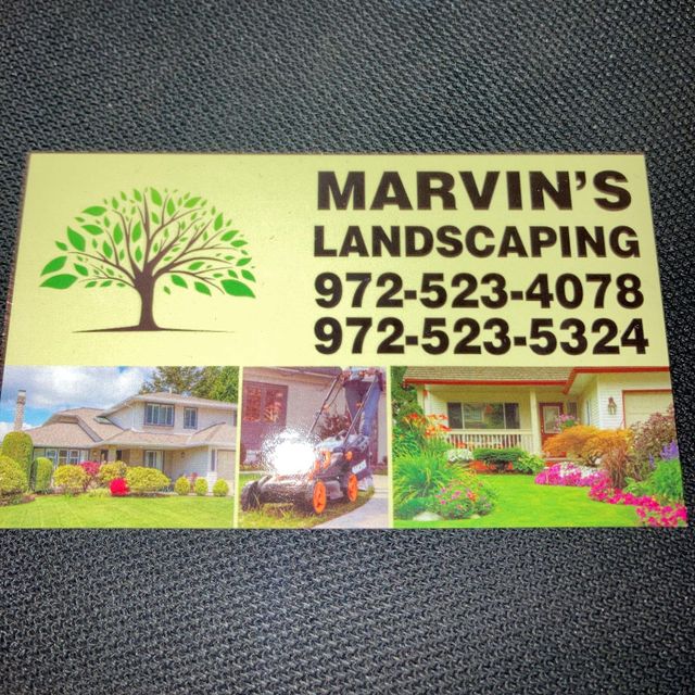 Marvin’s Landscape