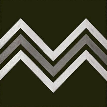 Mastered Hardwood floors