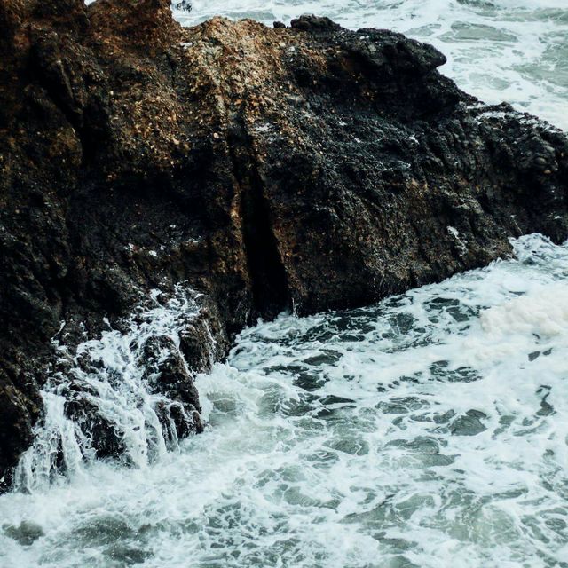 Meegan Dobson Photography