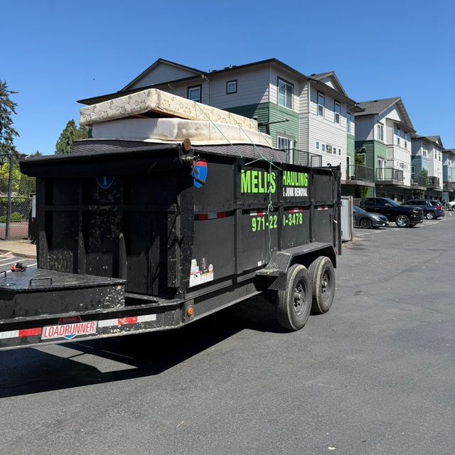 Meli’s hauling & junk removal
