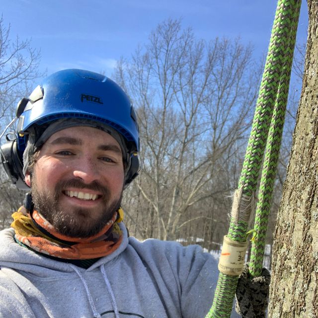 Mild Tree Care