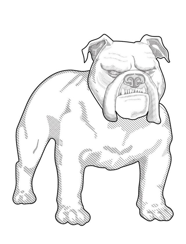 Miller Law LLP  Home of the Texas Bulldog
