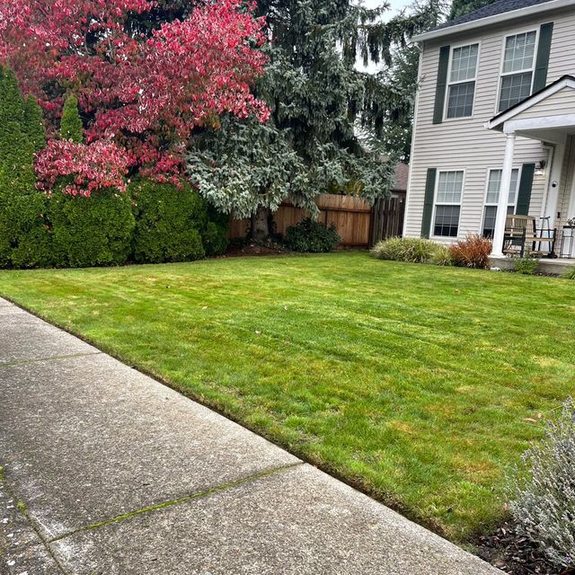 Mingo’s landscape LLC