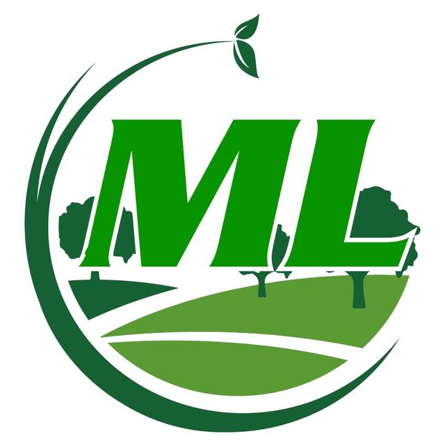 ML Landscapes & Construction