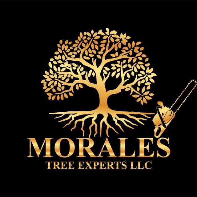 Morales Tree Experts LLC