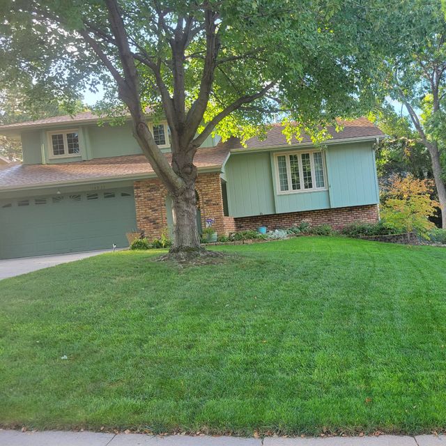 Morningside lawn and tree care