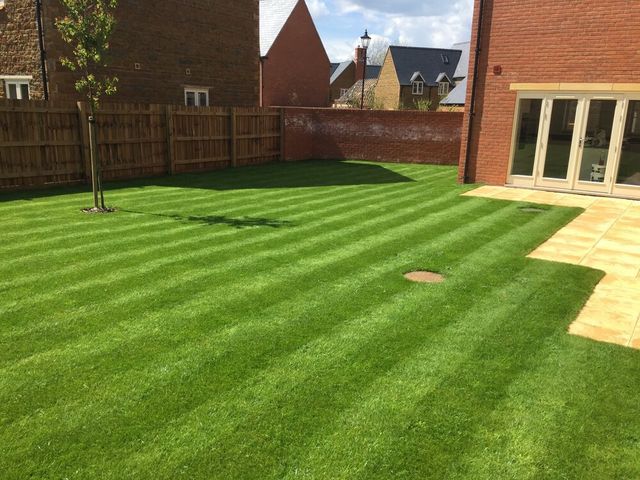 Moro Complete Lawn Care