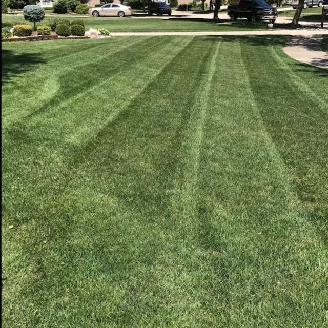 Murrays Irish eyes lawn service