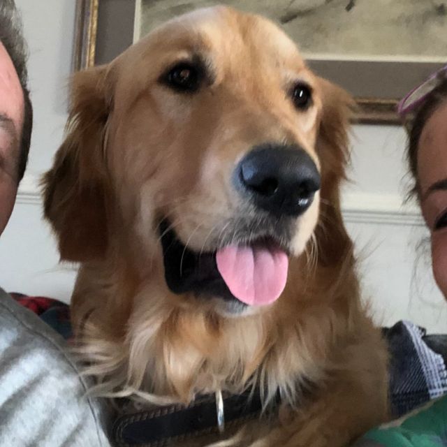 My Best Behavior