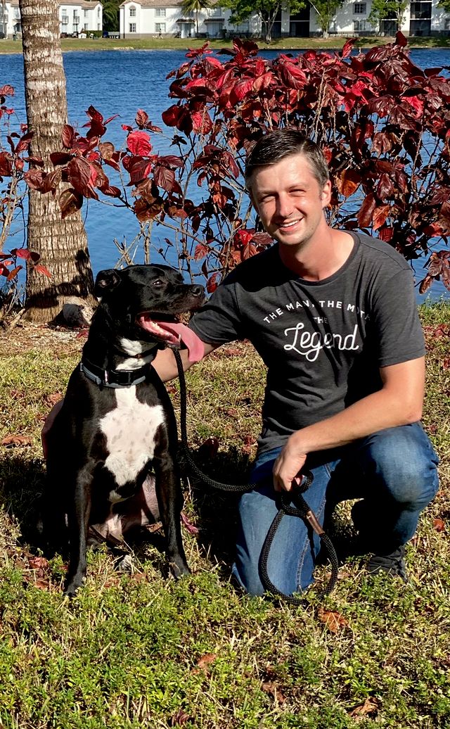 My Dog Rehab & Doggy Daycare