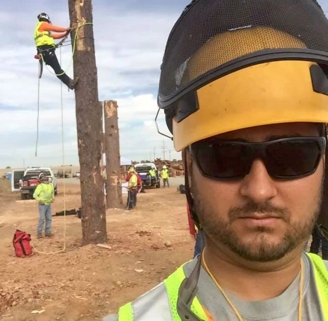 Native Tree Care, LLC
