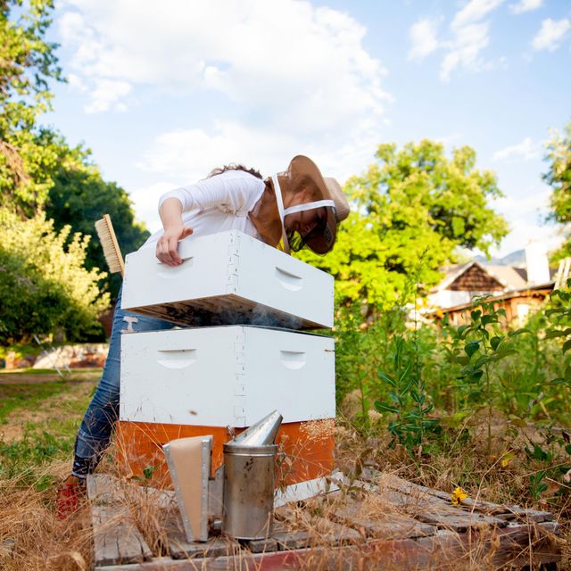 NATURAL HONEY BEE
