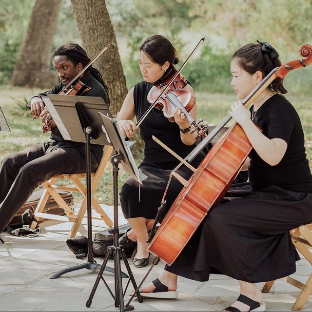 The Noble Strings