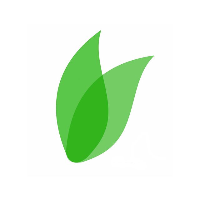 Office Care Co