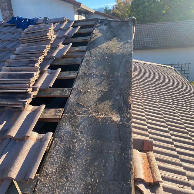 Omar’s roof maintenance or repair