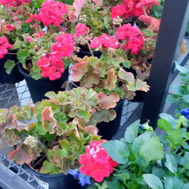 Outwest lawncare