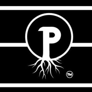 P Tree United Services LLC