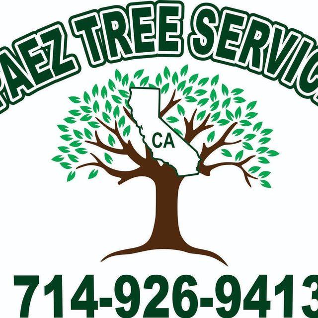 Paez tree service