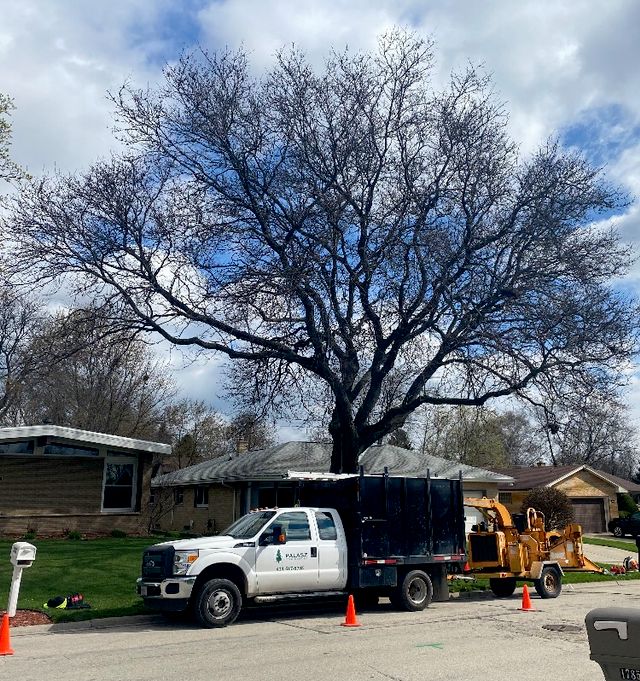 Palasz Tree Service LLC