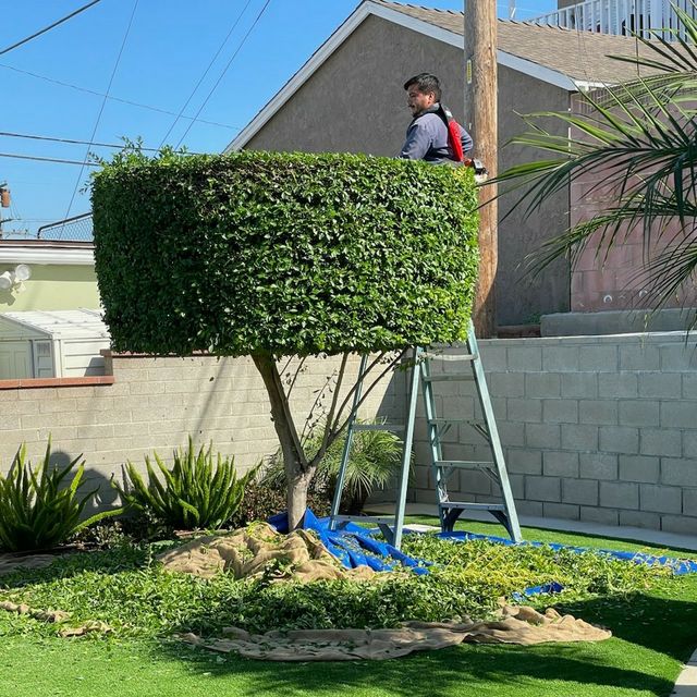 Panduro Garden Services