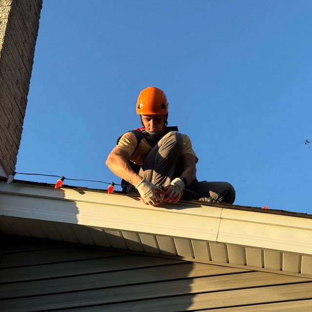 Pane Pal Window and Gutter Cleaning