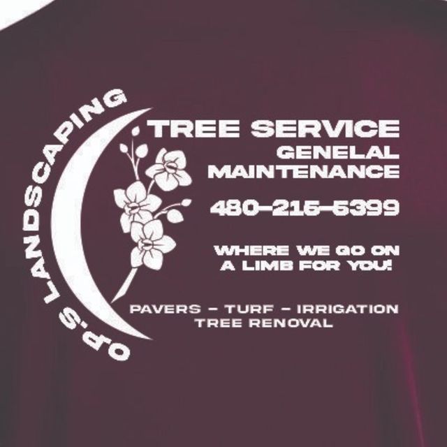 Pantoja landscape services llc