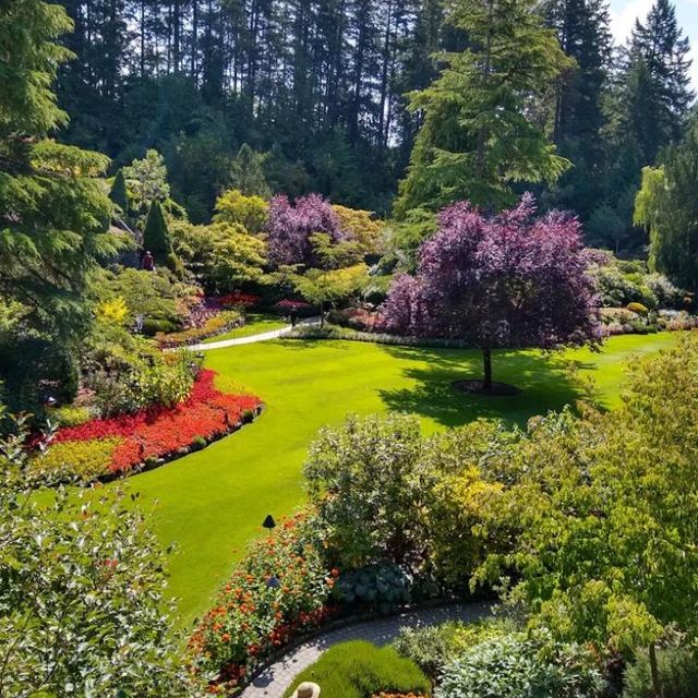 Paradise Lawn Care