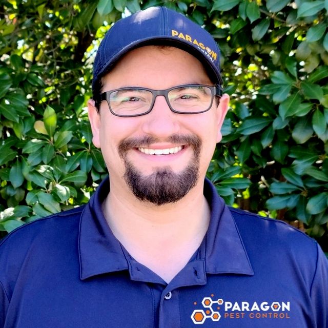 Paragon Pest Control