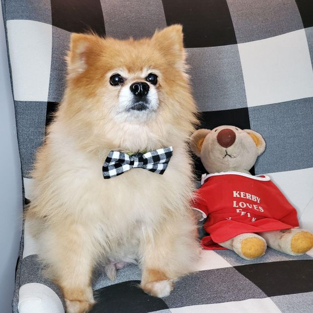 Paws and Peeps LLC