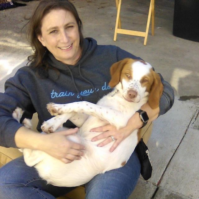 Paws-A-Tive Dog Training