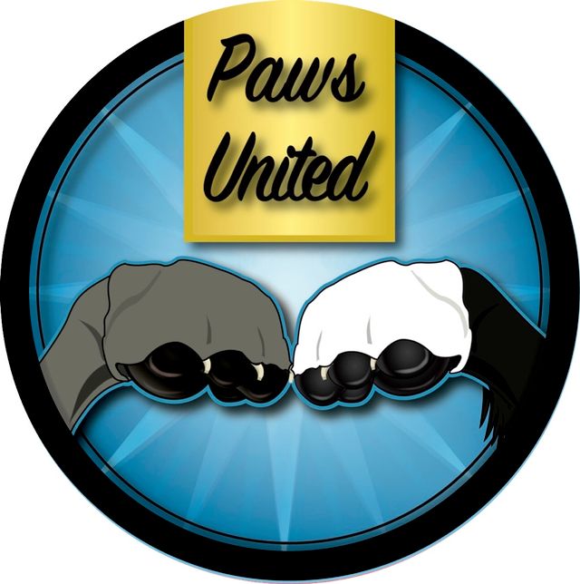 Paws United Dog Training