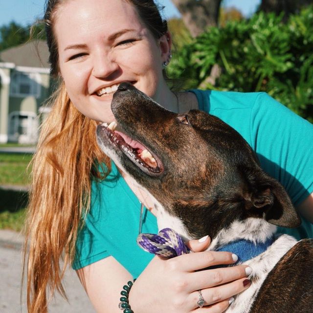 Pawsitive Pet Company
