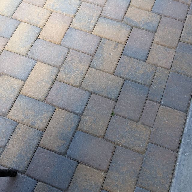 Pedro Ortega Landscaping