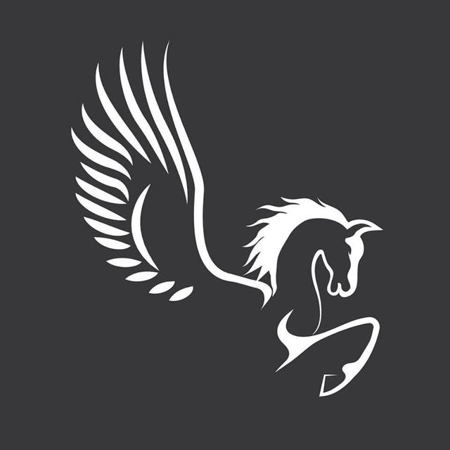 Pegasus Aerial Services