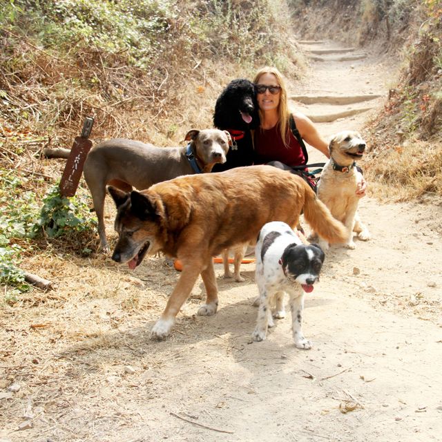 PENNY's POOCHES PET SERVICES