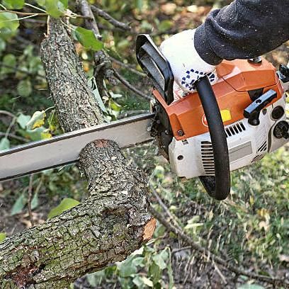 Peraza´s  tree service