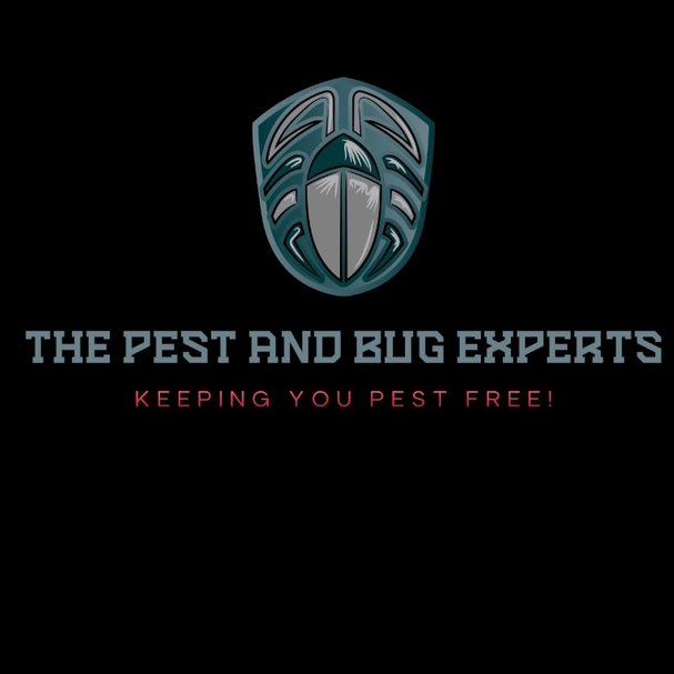 The Pest and Bug Experts