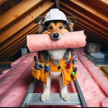 Phoenix insulation inc