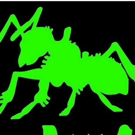 Potomac Pest and Termite Control