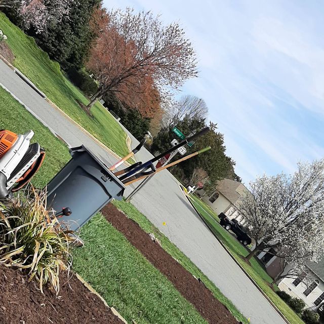 Primos's tree service and landscaping