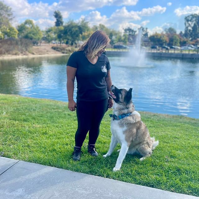 PRK9 Dog Training