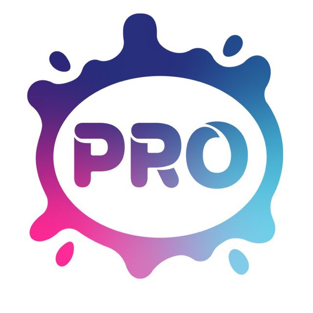 Pro Painters LLC