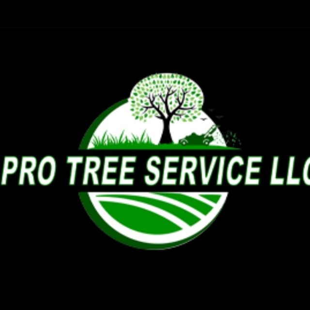Pro Tree Service