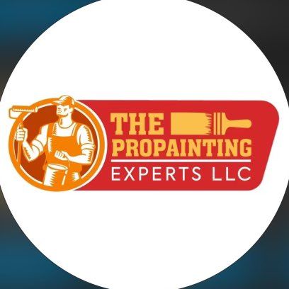 The ProPainting Experts LLC -San Antonio