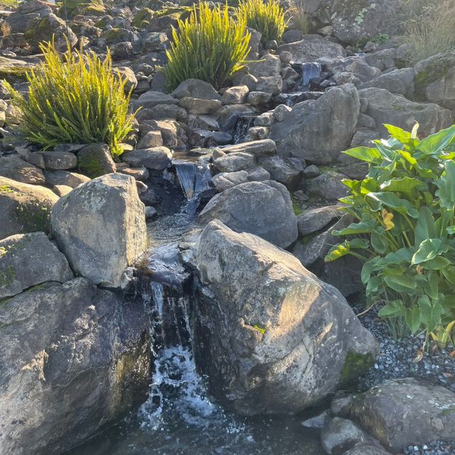 PT ‘s Landscaping