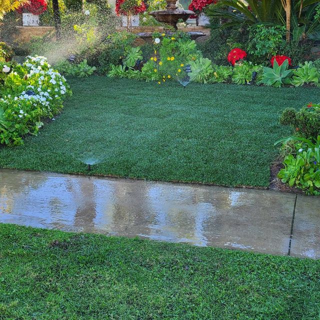 A.Q.C Landscape & Maintenance