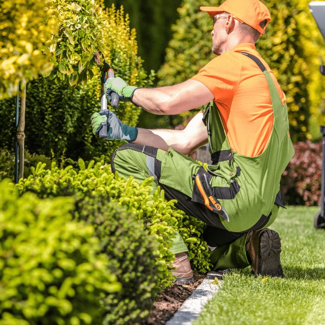 Quetzaltenango Landscaping Services